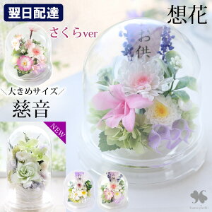 �����z�B ������ �� ���� �v���U�[�u�h�t�����[ �h�[�� �u�z�� �v�u�����v ���d�p �~�j���d ���d �͂�Ȃ� �A�����W ������� �t�����[�A�����W �u���U�[�h�t�����[ ���� �������� �l�\��� 