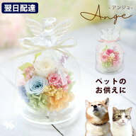 翌日配達 プリザーブドフラワー お供え ペット用 天使のガラスドーム アンジュ ペット お悔やみ 花 仏花 …