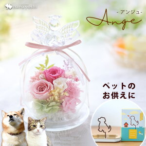 zB 14Y vU[uht[ Vg̃KXh[ AW ybg    KXh[ d dp ~jd ͂Ȃ  AW @    l\