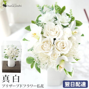   vU[uht[ A[eBtBVt[ Eternal Life u^ ܂v d pAWg  ͂Ȃ  蕨 uU[ht[ Mtg @ 