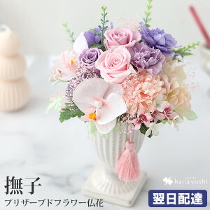   vU[uht[ A[eBtBVt[ Eternal Life uq Ȃłv d pAWg  ͂Ȃ  蕨 uU[ht[ Mtg @ 