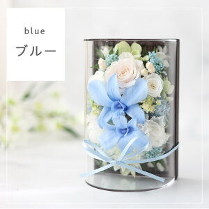 zB   vU[uht[  ͂Ȃ F̃A[`h[uZ[iv pAWg h[ dp d    uU[ht[ ~j  A