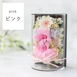 zB   vU[uht[  ͂Ȃ F̃A[`h[uZ[iv pAWg h[ dp d    uU[ht[ ~j  A