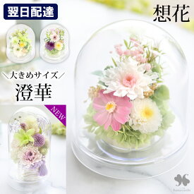翌日配達 仏花 プリザーブドフラワー 仏壇用 お供え 花 枯れない ドーム 「想花・慈音」 供花 アレンジメント 四十九日法要 お供え花 お悔やみ お悔やみ花 ブリザードフラワー 法事 お供え物 命日 一周忌 三回忌 四十九日 ミニ 仏壇 贈り物 ペット 一周忌 花