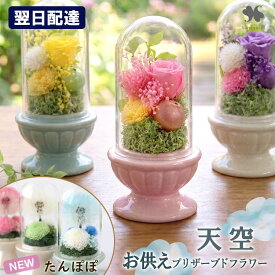 翌日配達 プリザーブドフラワー 仏花 お供え 花 ミニ ガラスドーム 「天空」「たんぽぽ Marco マルコ」 ドーム 枯れない お悔やみ ペット用 お悔み花 贈り物 仏壇用 法事 お供え物 命日 一周忌 法要 お花 供花 小さい おしゃれ 手元供養 喪中見舞い 即日発送 一周忌 花