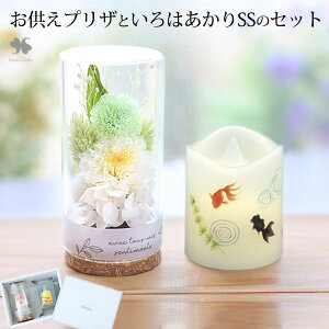 zB    Zbg vU[uht[  u  aV  vU[uht[ in ~j KX{gZbg v  dp  O Mtg ͂Ȃ 