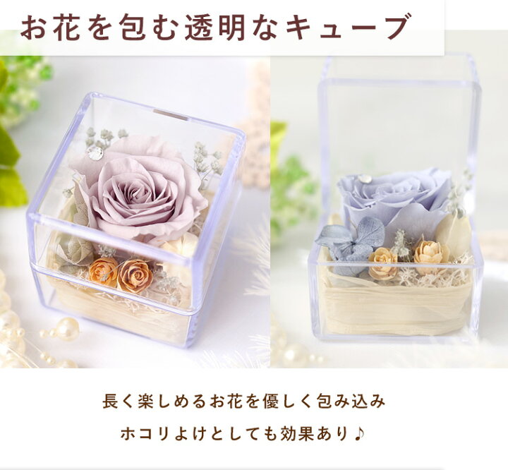 楽天市場】4/4 20時～エントリーでP5倍！プチプリザ inキューブ 選べる 