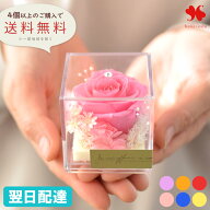 プチプリザ inキューブ 7色 プリザーブドフラワー ギフト ミニサイズ 4個以上で送料無料＜1配送先に限る…