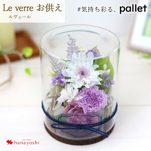 zB vU[uht[ pbg v[g  o a Mtg   ͂Ȃ  a ސEj j LO JXj  蕨 uU[ht[