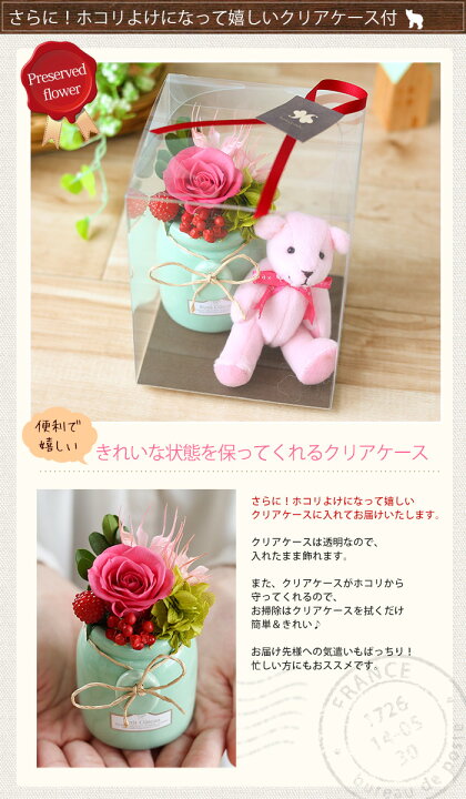 楽天市場 あす楽14時まで受付 ホコリよけになるクリアケース付 同梱ok くまさんとミルクポットn1 プリザーブドフラワー バラ 誕生日 プレゼント 女性 花 女友達 女の子 小学生 結婚式 引き出物 お祝い 贈り物 お誕生日 ギフト お花 ブリザードフラワー ブリザーブド