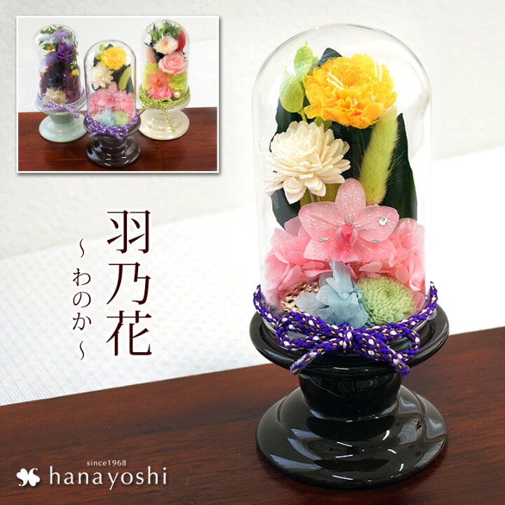 楽天市場 あす楽14時まで受付 送料無料 仏花 お供え プリザーブドフラワー ガラスドーム 羽乃花 わのか 胡蝶蘭 お供え お悔やみ 花 仏壇用 お供え物 お盆 お彼岸 喪中見舞い 贈り物 命日 一周忌 三回忌 お花 法事 花 ギフト ブリザードフラワー 即日発送 フラワー