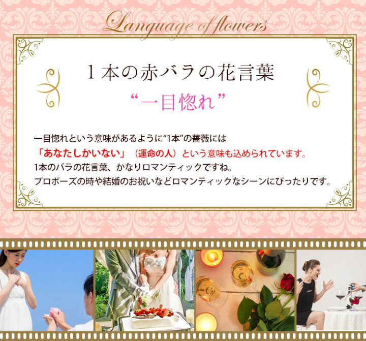 楽天市場 あす楽14時までの受付プリザーブドフラワー 送料無料 1輪のバラ Evermore ガラスドーム 結婚祝い フラワーギフト 結婚式 バラ 花 贈り物 プロポーズ プリンセス 誕生日 プレゼント 女性 妻 彼女 ギフト 母 退職祝い 転勤 異動 結婚記念日 お花 お誕生日