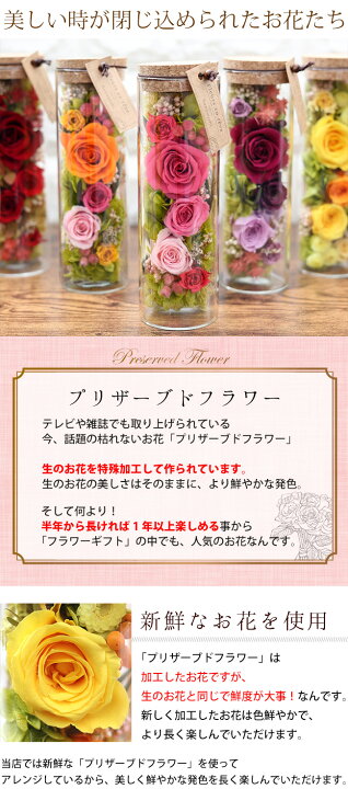 楽天市場 あす楽14時までの受付 プリザーブドフラワー 送料無料 ボトルフラワー 選べる7色 バラ お誕生日 お花 夏 フラワーギフト 結婚祝い ブリザードフラワー 花 誕生日 プレゼント 女性 女友達 母 妻 退職祝い 新築祝い 友人 おしゃれ お祝い お見舞い 異動 転職