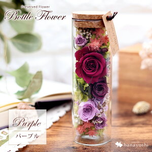 zB vU[uht[ {gt[ o v[g    a a j LO fXN uU[ht[ Mtg ͂Ȃ  KX FB 