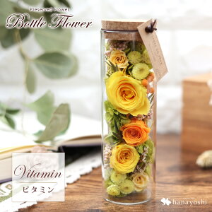 zB vU[uht[ {gt[ o v[g    a a j LO fXN uU[ht[ Mtg ͂Ȃ  KX FB 