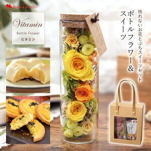 ԂƃXC[c {gt[ vU[uht[ƂՂXC[cZbg }}[U |ebg  j a v[g ̎q َq o t[Mtg o 蕨 a