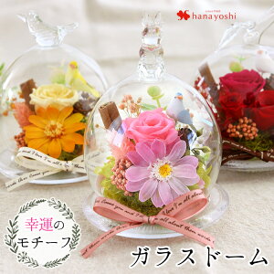 花 アレンジメント おしゃれの人気商品 通販 価格比較 価格 Com