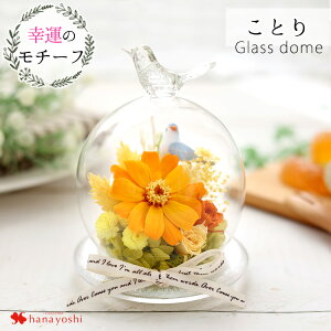 zB vU[uht[ K^̃`[tt KXh[ h[ ͂Ȃ  a v[g a j Yx   Mtg Mtg uU[ht[ j