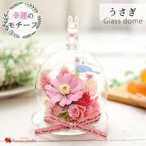 yyVSSGg[P10{zzB vU[uht[ K^̃`[tt KXh[ h[ ͂Ȃ  a v[g a j   Mtg Mtg 