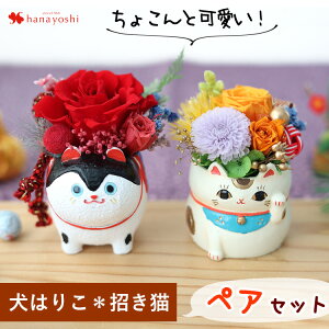 zB vU[uht[ a LN^[ yA Zbg ߋT ӂ낤 tNE L  ʂ  Mtg j ͂Ȃ  a v[g uU[ht[ ~j 