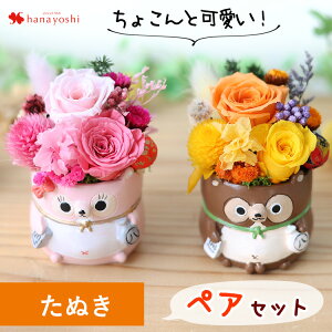 zB vU[uht[ a LN^[ yA Zbg ߋT ӂ낤 tNE L  ʂ  Mtg j ͂Ȃ  a v[g uU[ht[ ~j 