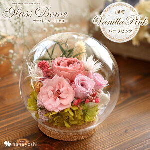 yyVSSGg[P10{zzB vU[uht[ KXh[ ouh[ LUMIE-~G uU[ht[ Mtg  a v[g a  ͂Ȃ o 