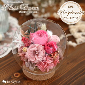 zB vU[uht[ KXh[ ouh[ LUMIE-~G uU[ht[ Mtg  a v[g a  ͂Ȃ o j LO  ha