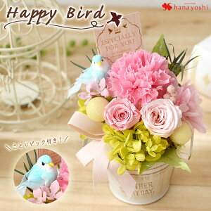 zB 14Y vU[uht[ Iׂ3F nbs[o[h NAP[Xa v[g ͂Ȃ   a  uU[ht[ Mtg v[g 蕨 