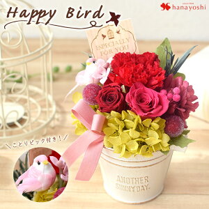 翌日配達 14時〆 プリザーブドフラワー 選べる3色 ハッピーバード クリアケース入り誕生日 プレゼント 枯れない 花 おしゃれ お誕生日 お花 ブリザードフラワー ギフト プレゼント 贈り物 お