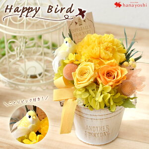 zB 14Y vU[uht[ Iׂ3F nbs[o[h NAP[Xa v[g ͂Ȃ   a  uU[ht[ Mtg v[g 蕨 