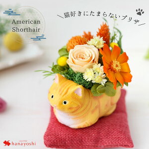 zB vU[uht[ a 났˂ 7 L  lR v[g j  ͂Ȃ  a LD uU[ht[ Mtg j җ Ê  蕨  Aj