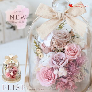 zB 14Y vU[uht[Elise G[[ KXh[ 傫 t[Mtg  o ͂Ȃ  蕨 v|[Y av[g ޏ Mtg  LO  a