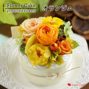 zB 14Y Ԃ̃P[L vU[uht[ t[P[L z[^Cv o a  a v[g  FB j  j LO   