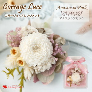 zB 14Y vU[uht[ RT[W [`F Iׂ3J[ AWg P[X y ͂Ȃ  }} tH[} p[eB ܎ ܎ T v[g ͂Ȃ  