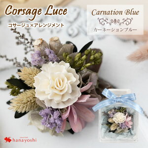 zB 14Y vU[uht[ RT[W [`F Iׂ3J[ AWg P[X y ͂Ȃ  }} tH[} p[eB ܎ ܎ T v[g ͂Ȃ  