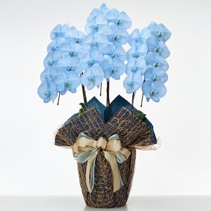 YnI J[ Ӓ MIYABI R`E mցE3{24`33ֈȏ Ft Ӓ j   JX J N AC J@ ړ] j JX J @l D j Mtg 