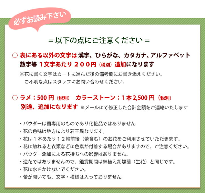 楽天市場 化粧蘭 ケショウラン コチョウラン 洋蘭 大輪 ３本立ち ３０輪以上 文字入れ 胡蝶蘭 お祝い 開店祝い 開業祝い 花 開院祝い 開店 オープン 移転祝い 鉢植え ギフト ラン こちょうらん 退職祝い 男性 昇進祝い 蘭 誕生日 プレゼント フラワーマーケット花由