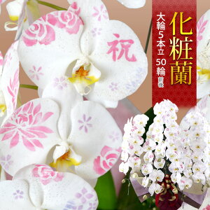 ϗ R`E mցE5{50֑O  Ӓ  җ JƏj Аݗ j J@j J I[v ړ]j A Mtg j i ACj  Ê  