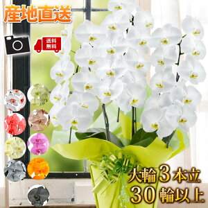 YnI [t Ӓ R`E mցE3{30ֈȏ Ӓ  JXj JƏj Nj J@j ړ]j j JXJ Mtg  a   