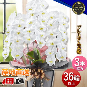 YnI [t v~AӒ R`E mցE3{36ֈȏӒ  JƏj Nj J@j ړ]j j JXJ Mtg  a   