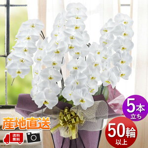 YnI [t Ӓ R`E mցE5{50ֈȏӒ  JƏj Nj J@j ړ]j j JXJ Mtg  a   ݁y