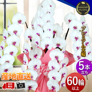 YnI [t Ӓ R`E mցE5{60ֈȏ@Ӓ  JXj JƏj Nj J@j ړ]j j JXJ Mtg  a   