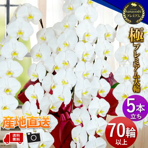 YnI [t Ƀv~A Ӓ R`E mցE5{70ֈȏ@Ӓ  JƏj Nj J@j ړ]j j JXJ Mtg  a  