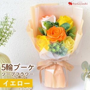 yŒZzB 14Yz  \[vt[ ԑ XC[gV{5փu[P o u[P 4J[ uTNE[Y v a v[g  Mtg   a Yx 