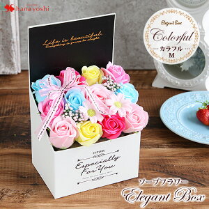 zB 14Y \[vt[ GKg{bNX Iׂ5J[  a v[g  ̓ j t[Mtg  j  a LO  җ 