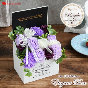 zB 14Y \[vt[ GKg{bNX Iׂ5J[  a v[g  ̓ j t[Mtg  j  a LO  җ 