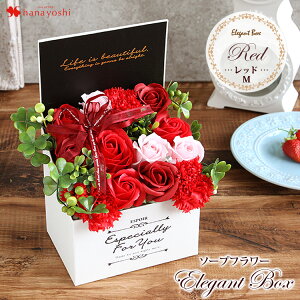 zB 14Y \[vt[ GKg{bNX Iׂ5J[  a v[g  ̓ j t[Mtg  j  a LO  җ 