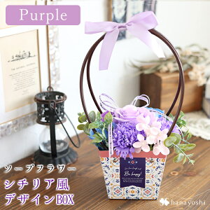 zB 14Y \[vt[ nhtV`AfUCBOX Iׂ4J[ {bNXAW J[l[V o  a v[g  FB j t[Mtg 