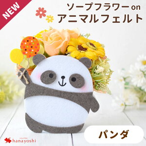 zB \[vt[ in Aj}tFg AWg  a v[g ̎q j̎q \ oG\ t[Mtg t[\[v a q j  oY