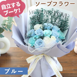 zB  \[vt[ ԑ uX^hXC[gV{ 14փu[Pv Iׂ 5J[  u[P ͂Ȃ a v[g  t[Mtg   a 